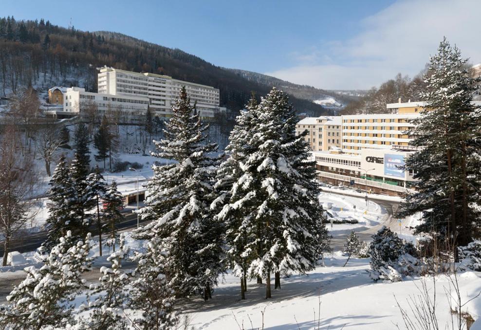 Hotel Luzice Jáchymov Exterior photo